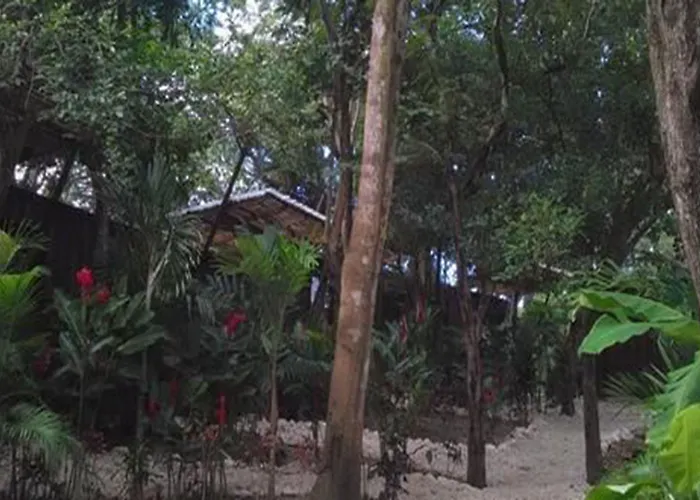Sanctuary Nosara