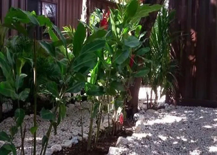 Hotel Sanctuary