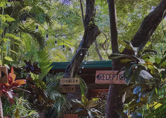 Sanctuary Nosara